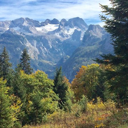 Dachstein Mountainview Gosau Apartamento Exterior foto