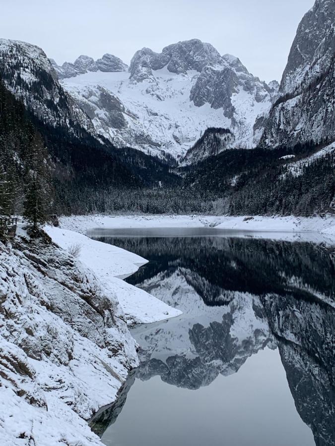 Dachstein Mountainview Gosau Apartamento Exterior foto