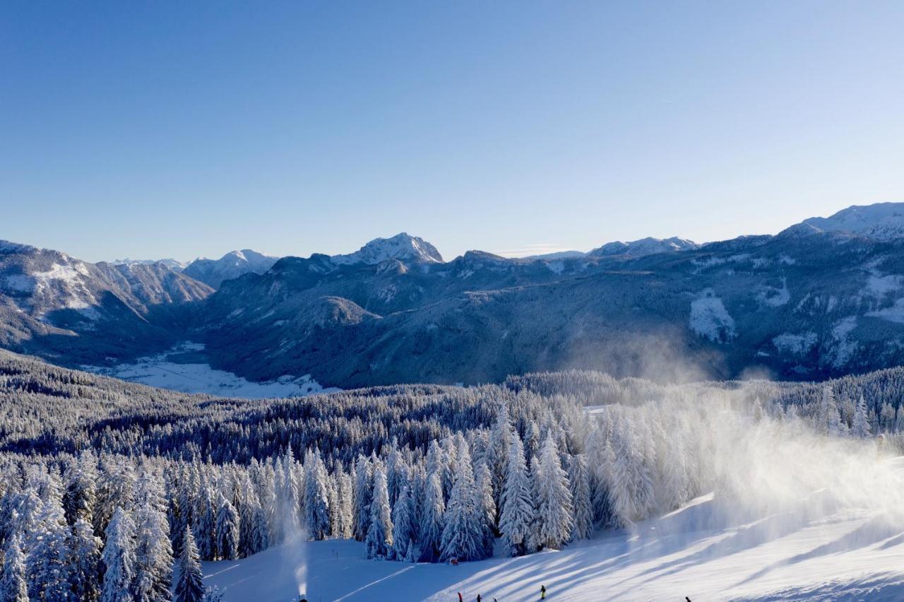 Dachstein Mountainview Gosau Apartamento Exterior foto