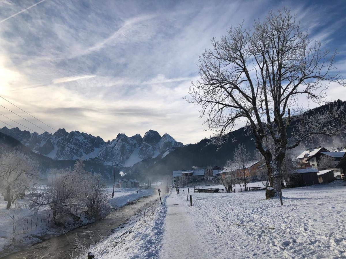 Dachstein Mountainview Gosau Apartamento Exterior foto