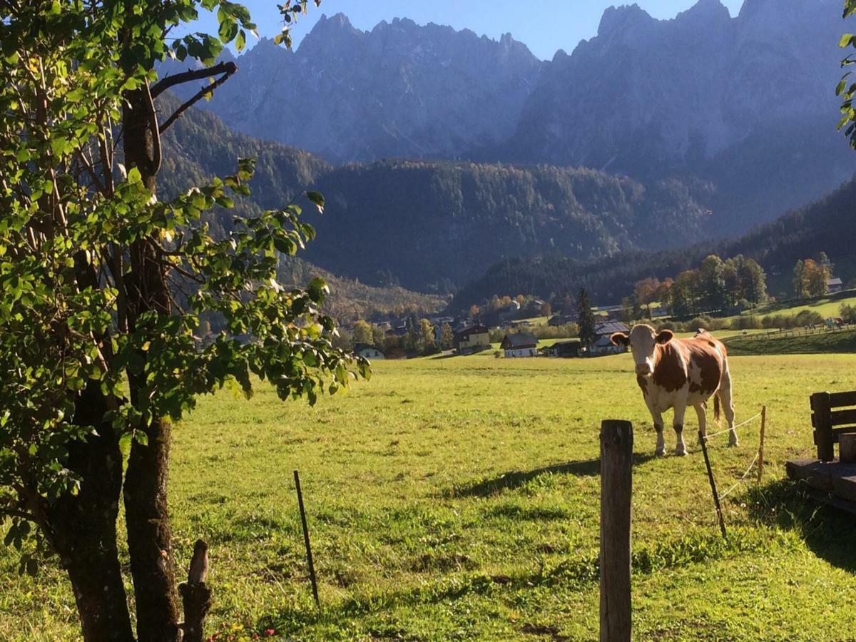 Dachstein Mountainview Gosau Apartamento Exterior foto