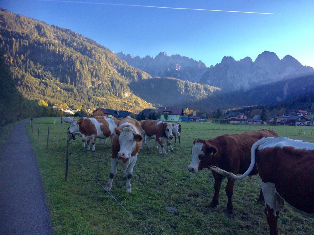 Dachstein Mountainview Gosau Apartamento Exterior foto