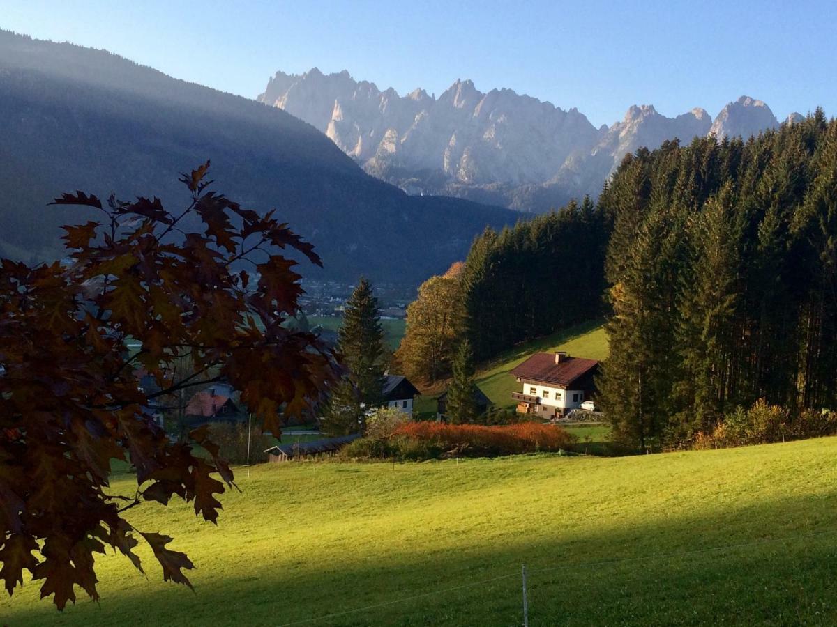 Dachstein Mountainview Gosau Apartamento Exterior foto